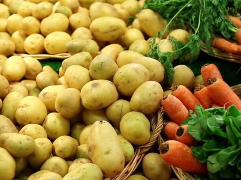 Вовлечение ЛПХ в процессы выращивание овощной продукции и картофеля..