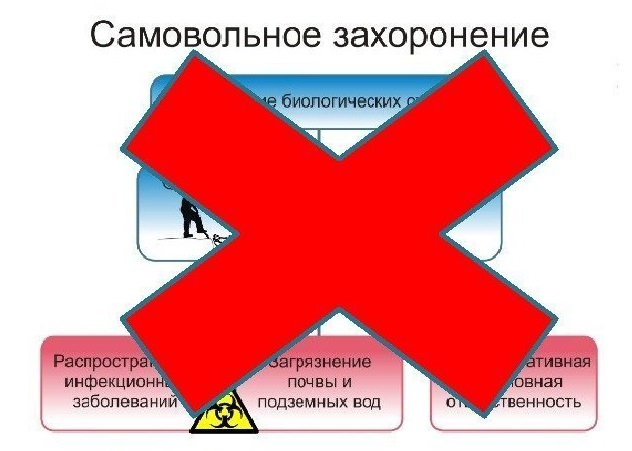 Недопущение несанкционированного захоронения биологических отходов в целях пресечения сокрытия фактов заболевания и (или) падежа сельскохозяйственных животных их владельцами.