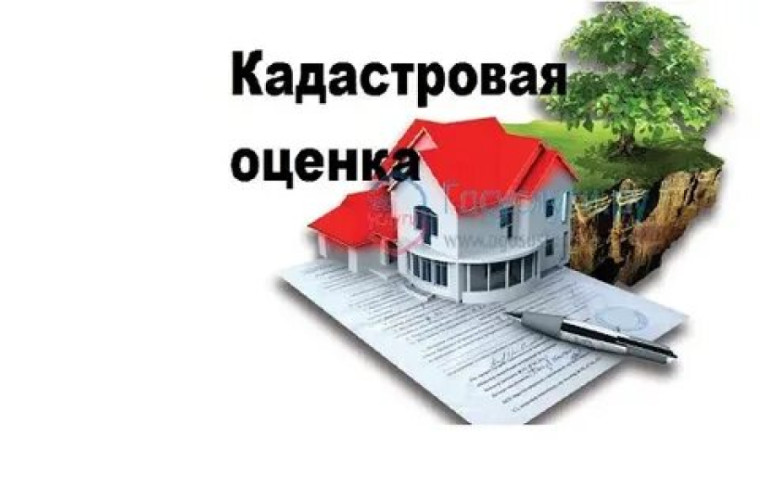 О проведении государственной кадастровой оценки. О проведении государственной кадастровой оценки.
