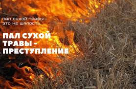 Осенние палы. Осенние палы.