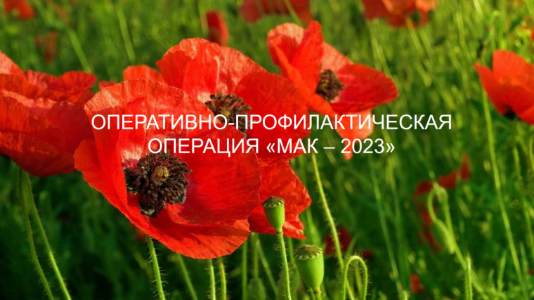 Борьба с наркосодержащими растениями. Борьба с наркосодержащими растениями.